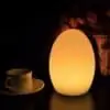 Egg table lamp